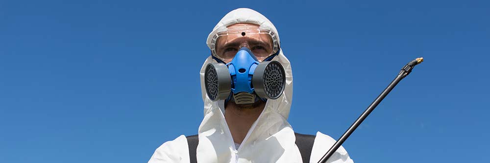 Resistenzen bei der Bettwanzenbekämpfung mit Pestiziden